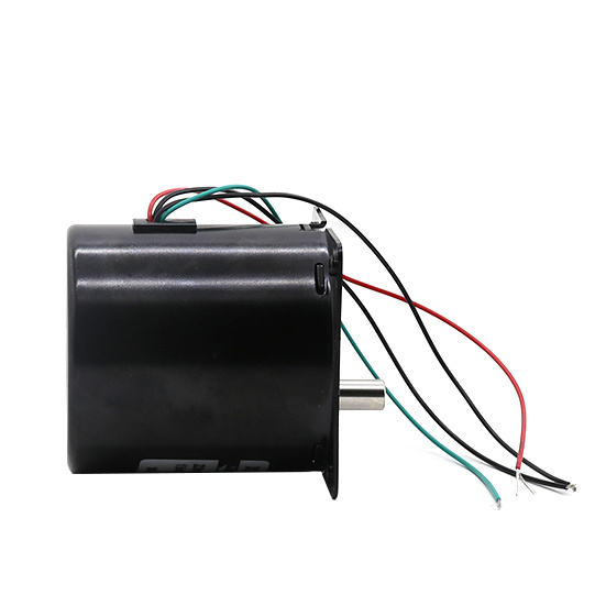 Synchronous Motor 80KTYZ