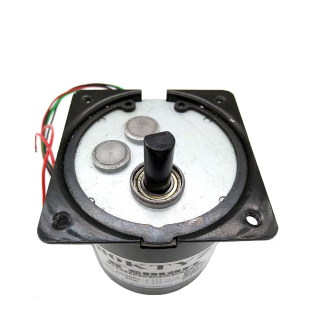 Synchronous Motor 80KTYZ