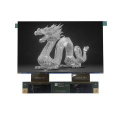 mono LCD display