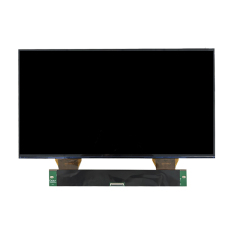monochrome LCD display