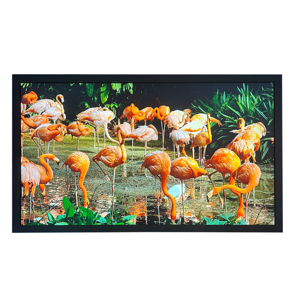 32 Inch 1920*1080 LVDS 51PIN 1000nits LCD Touch Screen Monitor