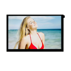 10.1 Inch 1920x1200 45PIN LVDS 1000nits LCD Module