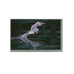 7 Inch 800x480 LVDS 20PIN 500nits Wide Temperature(-40~+85℃) Industrial LCD Display | Compatible with G070Y2-L01