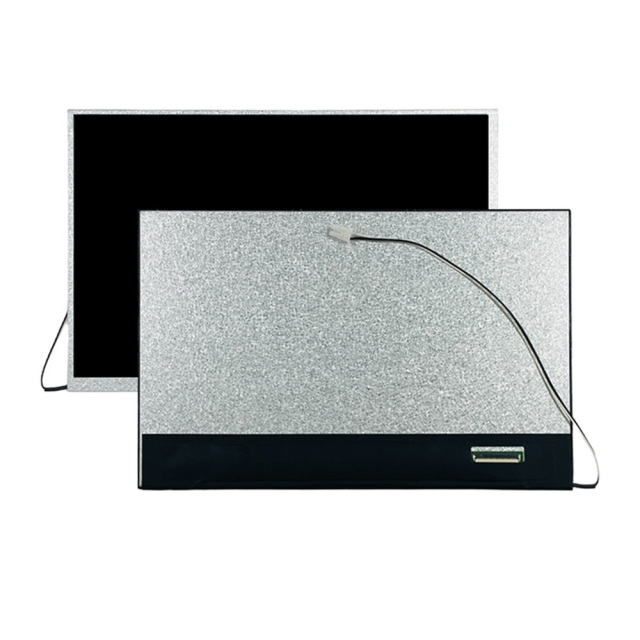 10.1 inch 1280*800 LCD module
