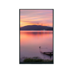 10.1 Inch 800×1280 40PIN MIPI 450nit TFT LCD Module