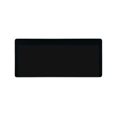 AUO LCD module
