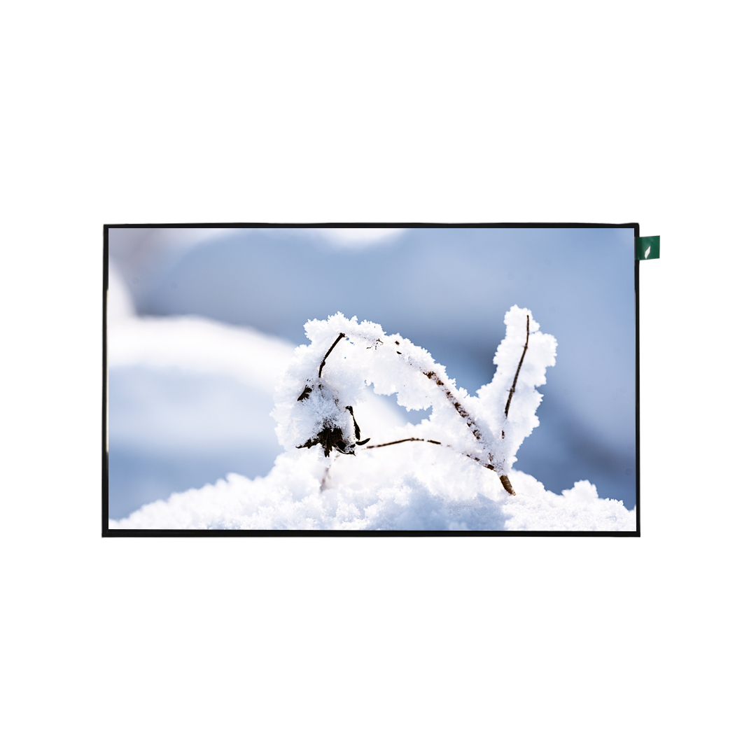 10.1 Inch 1920x1080 800nits 40 Pin IPS TFT LCD Module