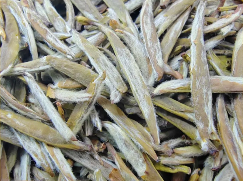 Yellow Tea - 2024 Junshan Silver Needle Pre-Qingming First-Pluck Tender Buds with Flower Aroma - 200g