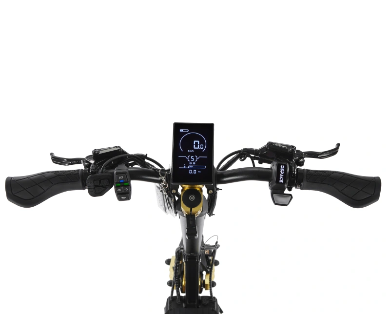 Venus 10 SPORT L High-End Dual Motor Electric Scooter - 1600W Powerful Motor, 60km/h Top Speed, 64km Range, Premium Commuter with Hydraulic Brakes