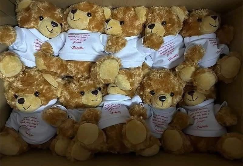 Teddy Bear With Sublimation / Printable Shirts