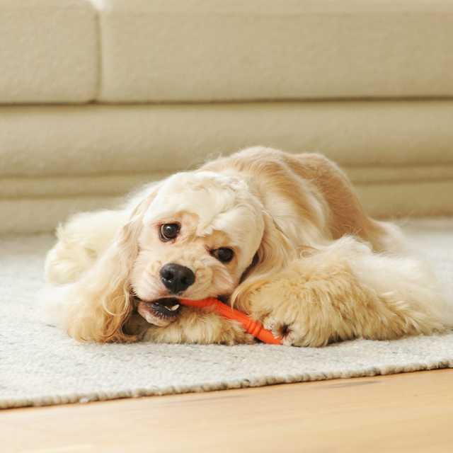 Natural Rubber Bone Orange - S