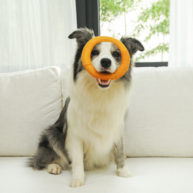 Natural Rubber Hoop Yellow - M