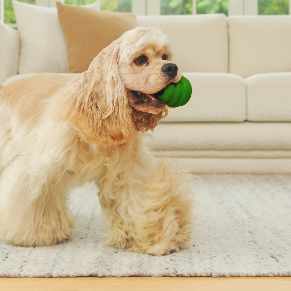 Natural Rubber Ball Green - S