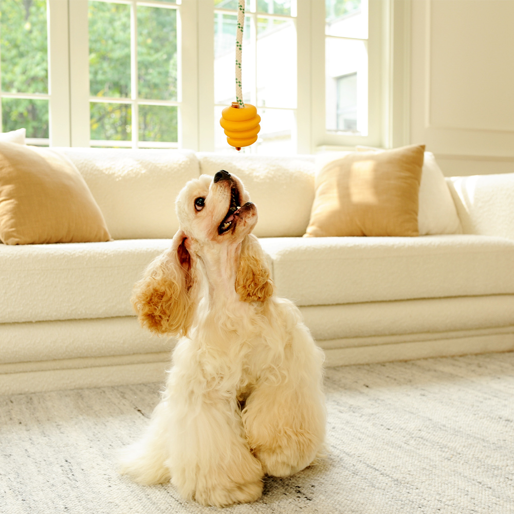 Natural Rubber Ball Rope Toy - Yellow - S