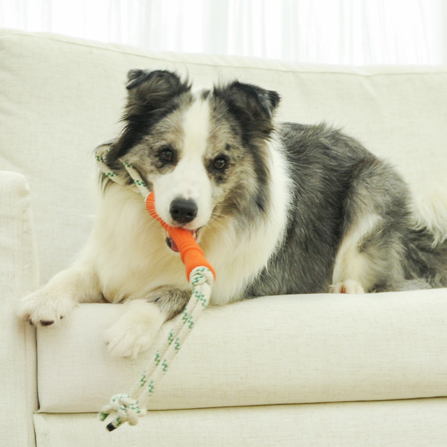 Natural Rubber Bone Rope Toy - Orange - S