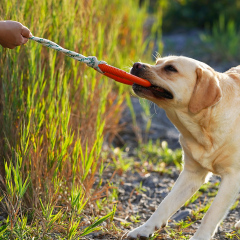 Natural Rubber Hoop Rope Toy - Orange - S