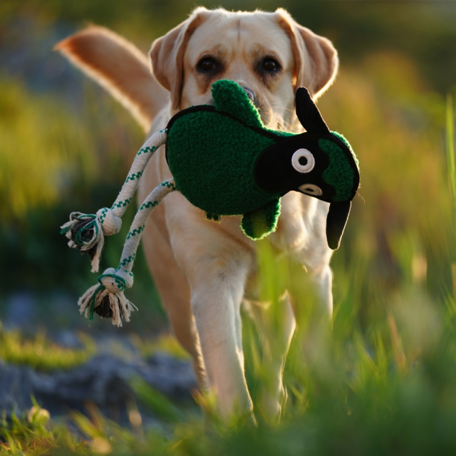 Green Sheep Rope Toy - M