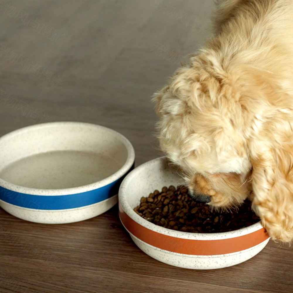 Recycled Plastic Dog Bowl - Purple (M)