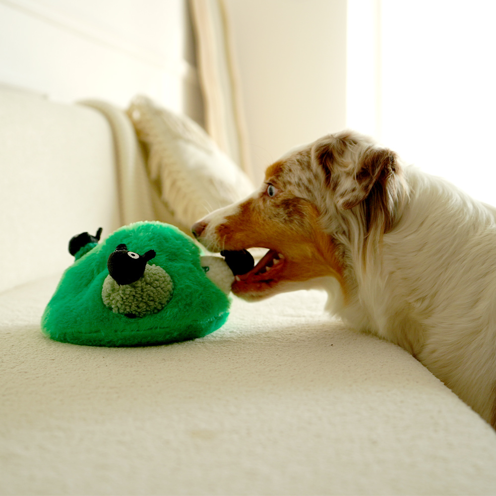 Green Sheep Hide & Seek Toy
