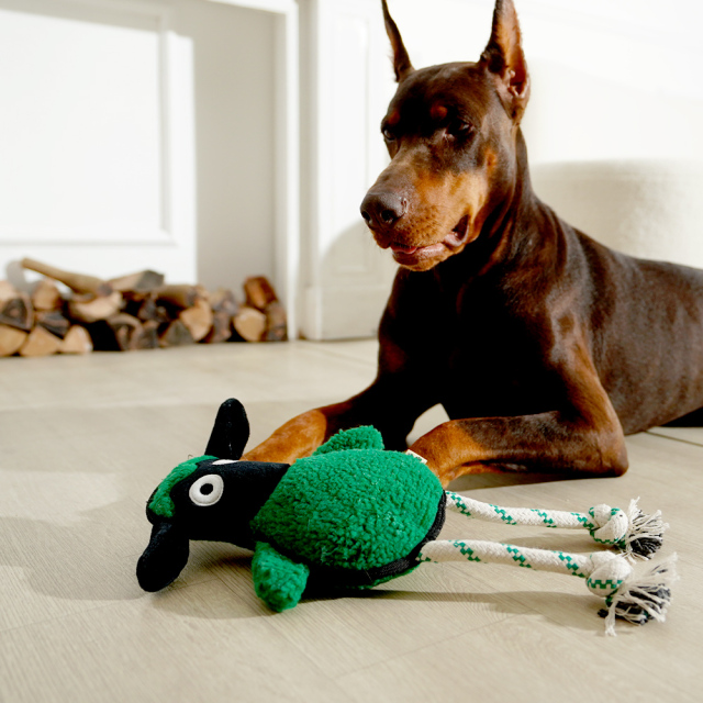 Green Sheep Rope Toy - M