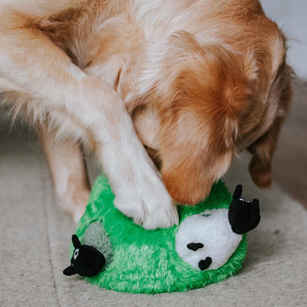 Green Sheep Hide & Seek Toy