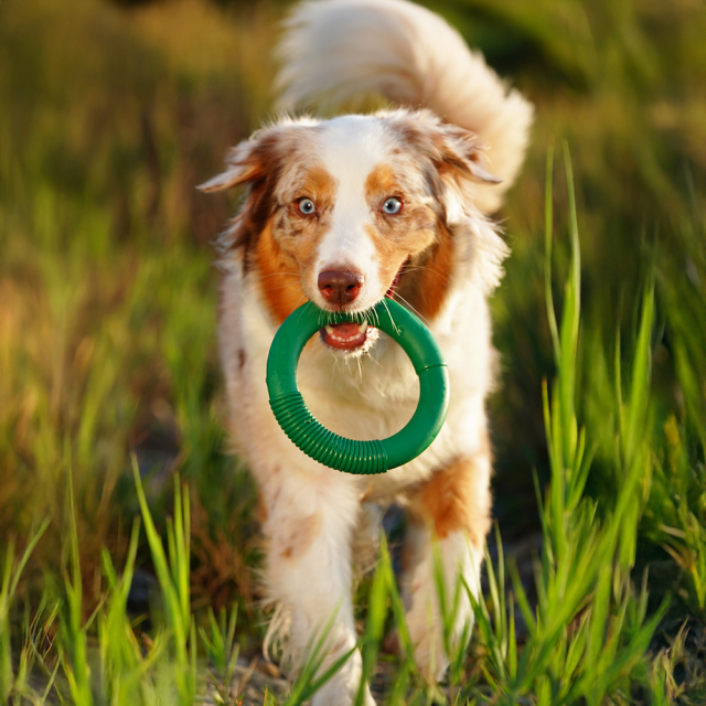Natural Rubber Hoop Green - M