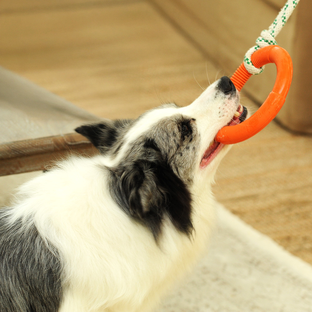 Natural Rubber Hoop Rope Toy - Orange - S