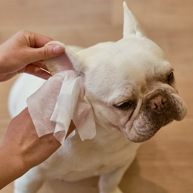 20 Travel Wipes-Unscented