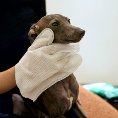 8 Glove Wipes- Unscented