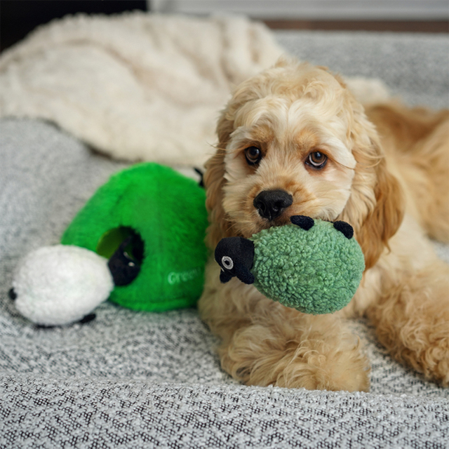 Green Sheep Hide & Seek Toy
