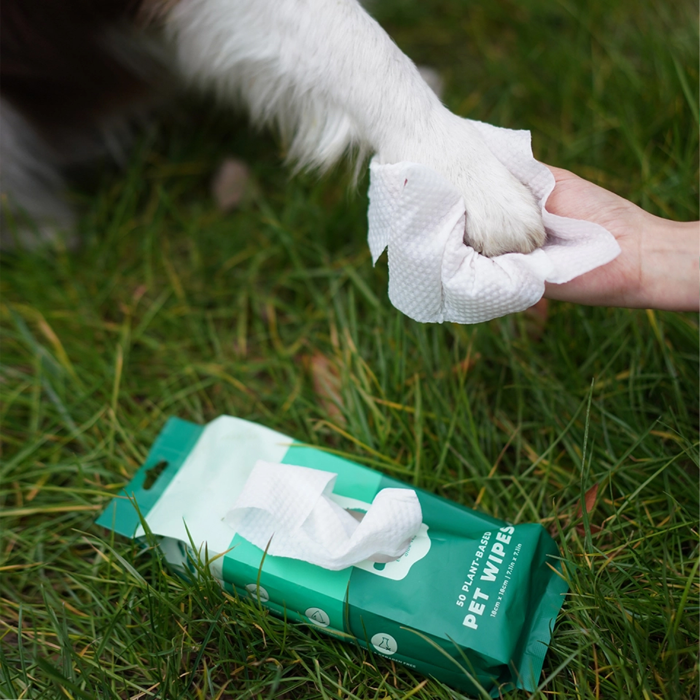 50 Pet Wipes-Unscented
