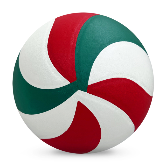 Volleyball,Blue Arc Sports