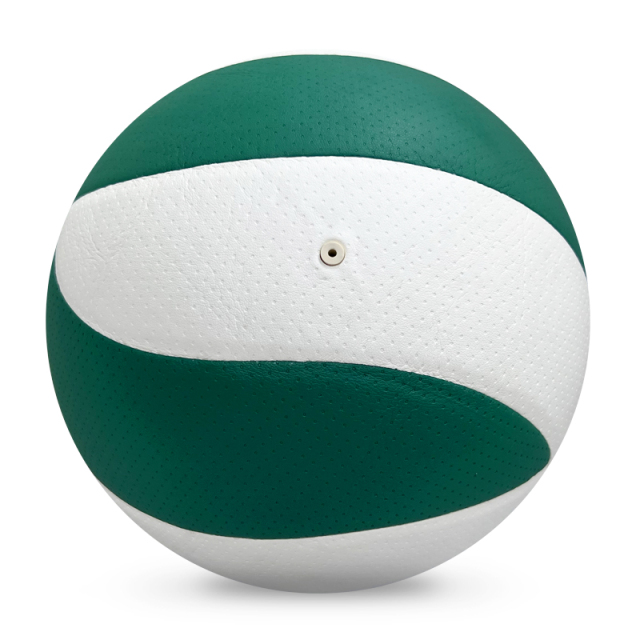 Volleyball,Blue Arc Sports