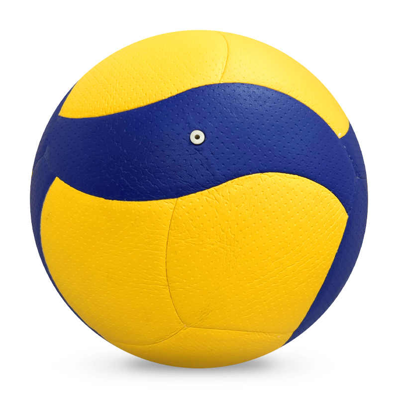 Volleyball,Blue Arc Sports