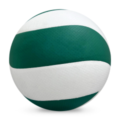 Volleyball,Blue Arc Sports