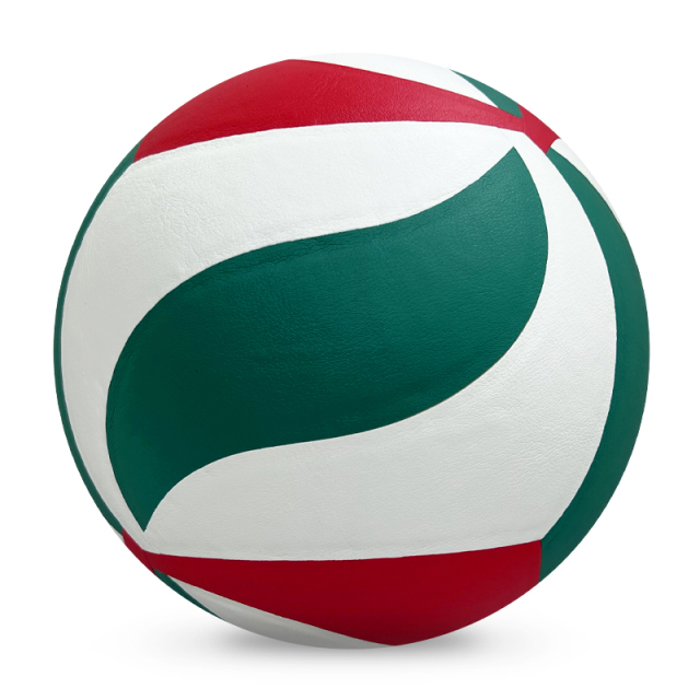 Volleyball,Blue Arc Sports