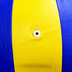 Volleyball,Blue Arc Sports