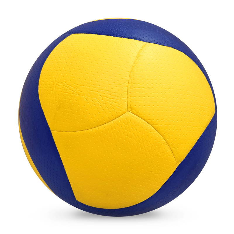 Volleyball,Blue Arc Sports
