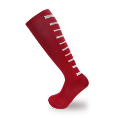 Socks,ブルーアークスポーツ