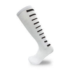 Socks,ブルーアークスポーツ