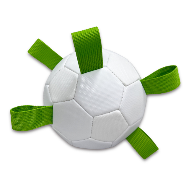 Pet ball,Blue Arc Sports