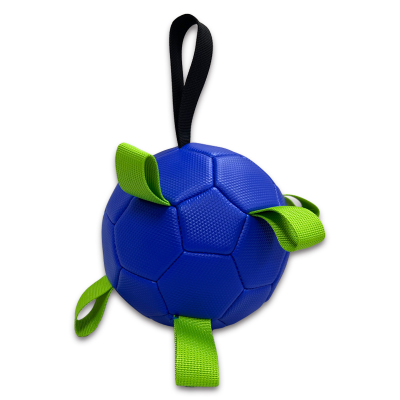 Pet ball,Blue Arc Sports