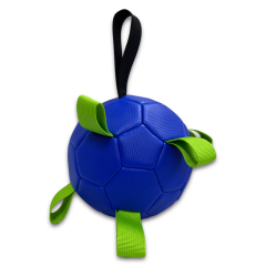 Pet ball,Blue Arc Sports
