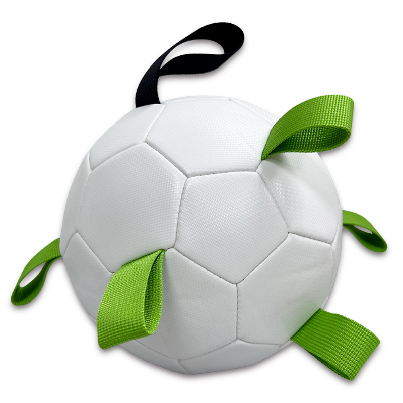 Pet ball,Blue Arc Sports