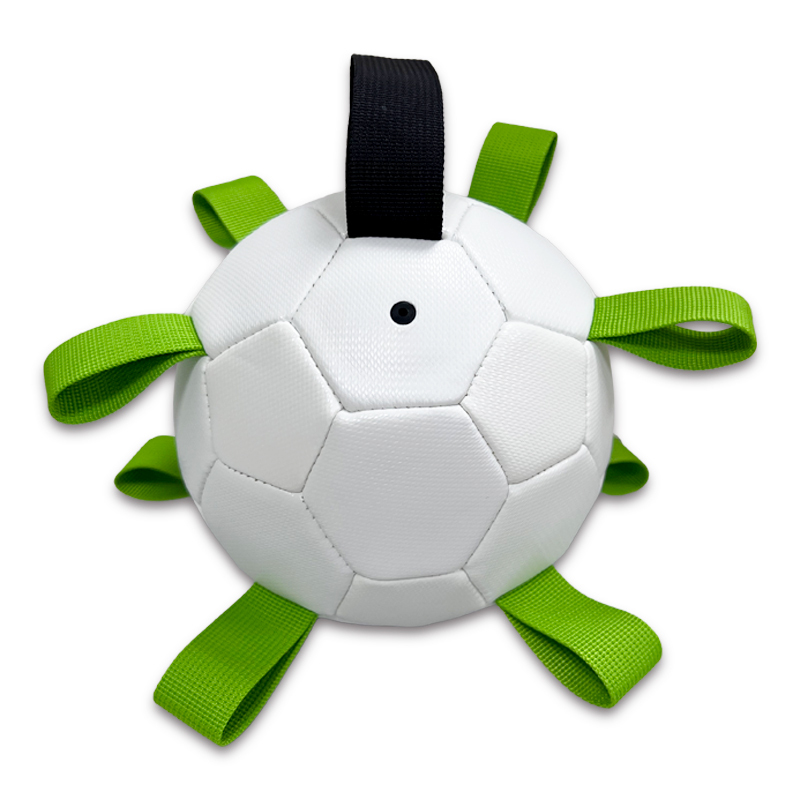 Pet ball,Blue Arc Sports
