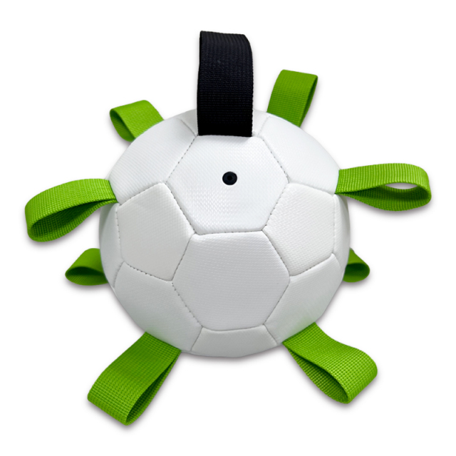 Pet ball,Blue Arc Sports