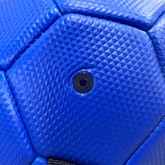 Pet ball,Blue Arc Sports