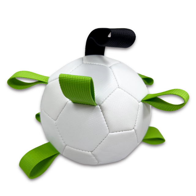 Pet ball,Blue Arc Sports