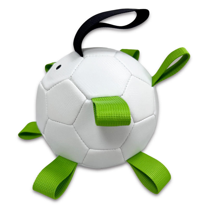 Pet ball,Blue Arc Sports