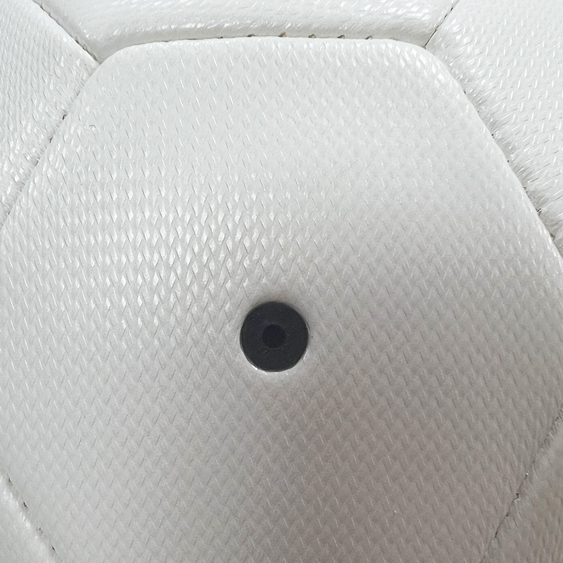 Pet ball,Blue Arc Sports